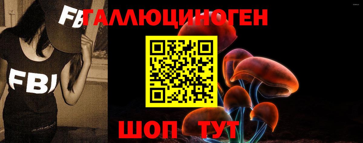 Псилоцибиновые грибы прущие грибы Йошкар-Ола